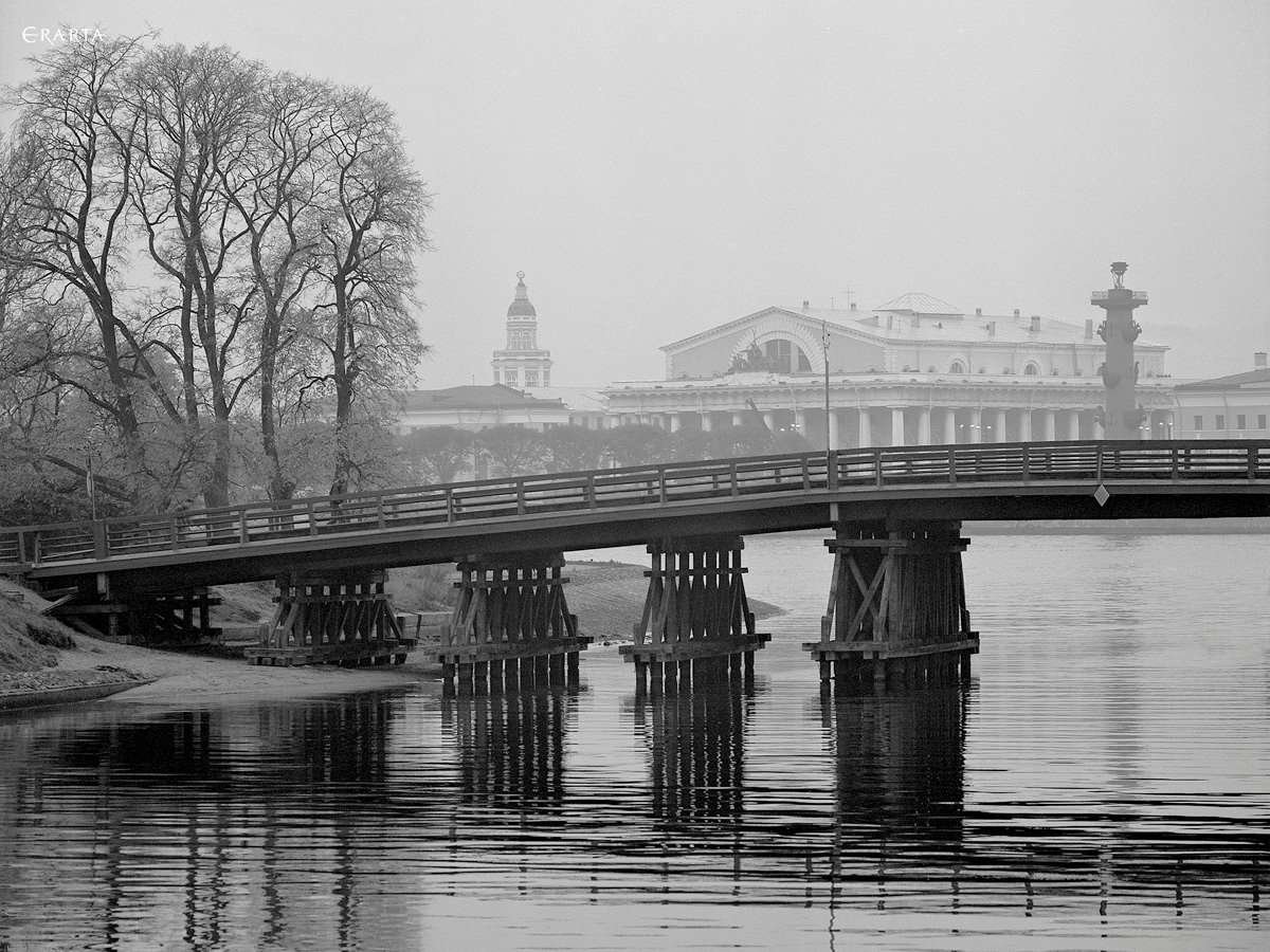 Kronverksky Bridge. Kronverkskaya Embankment, artist Vladimir Antoshchenkov